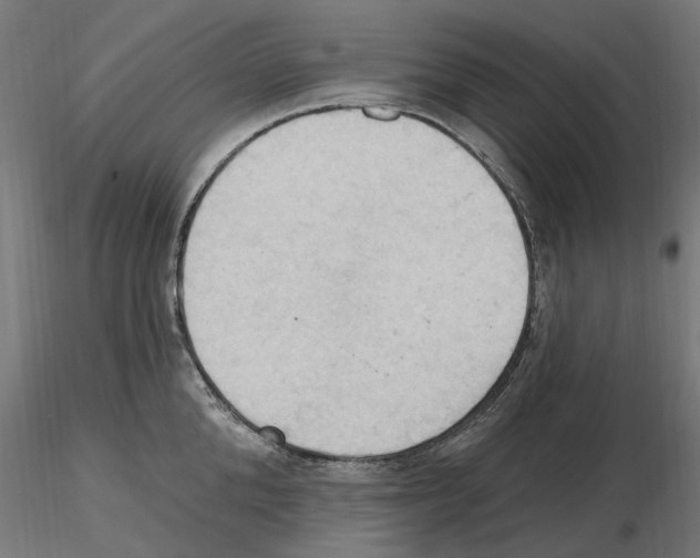 X0000116510904201001061220