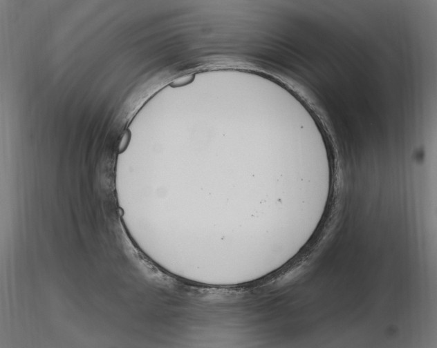 X0000116510905201001061220
