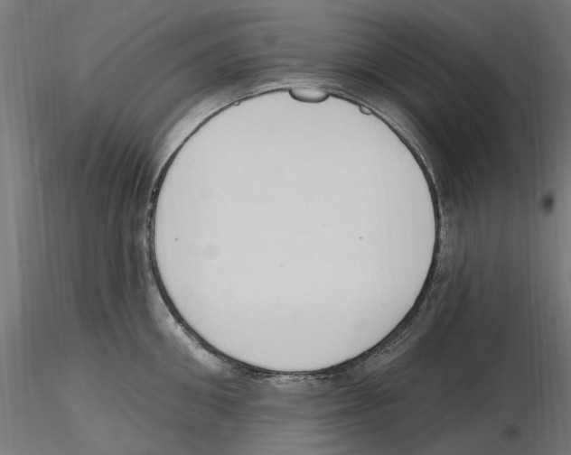 X0000116510906201001061220