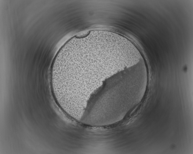 X0000116510907201001061220