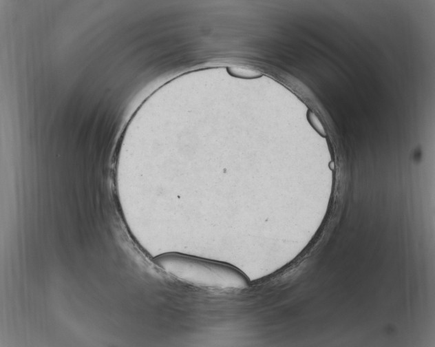 X0000116510908201001061220