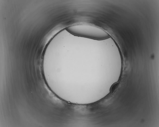 X0000116510909201001061220