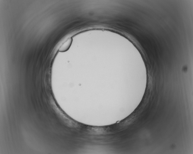 X0000116510911201001061220
