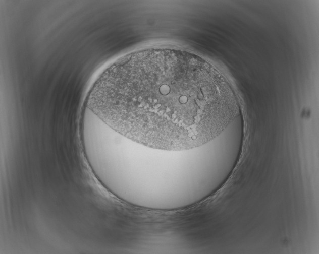 X0000116510912201001061220