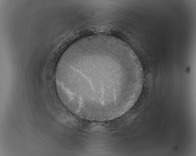 X0000116510913201001061220