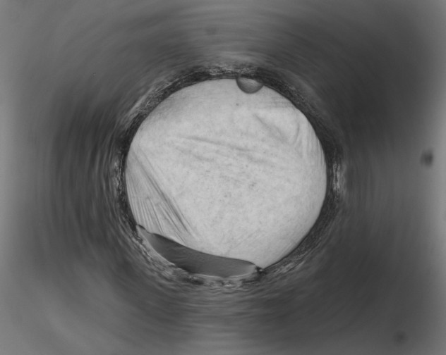 X0000116510915201001061220