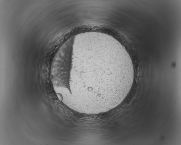 X0000116510917201001061220