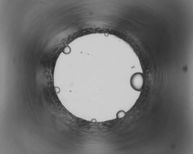 X0000116510918201001061220