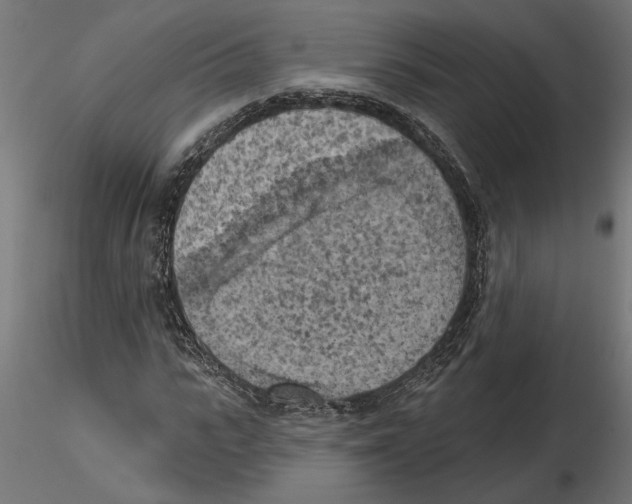 X0000116510919201001061220