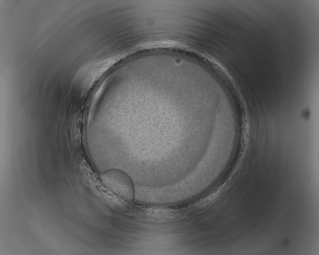 X0000116510921201001061220