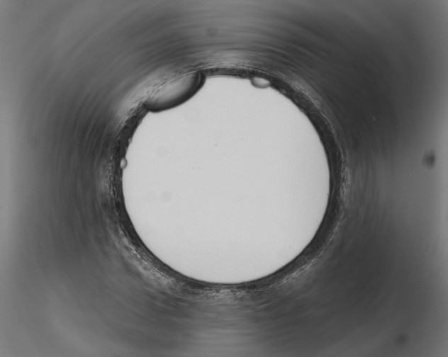 X0000116510922201001061220