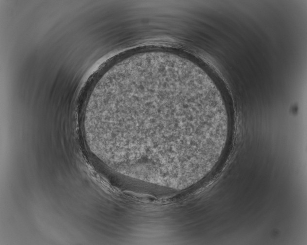 X0000116510923201001061220