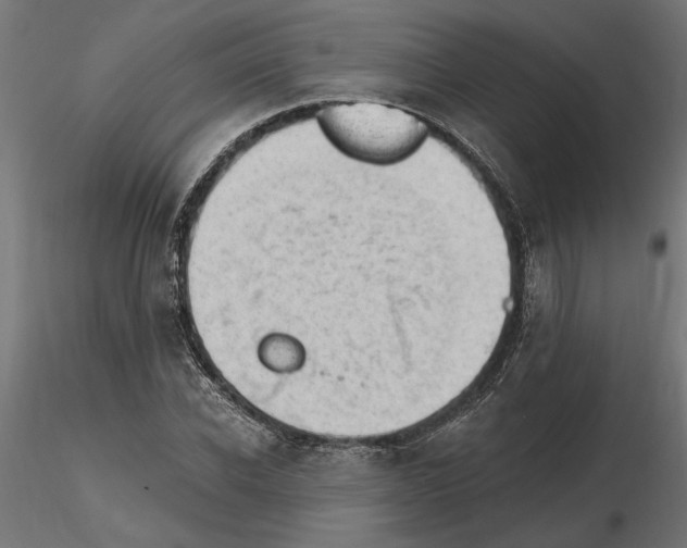 X0000116510926201001061220