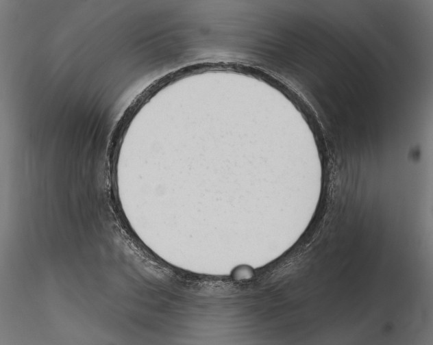 X0000116510927201001061220