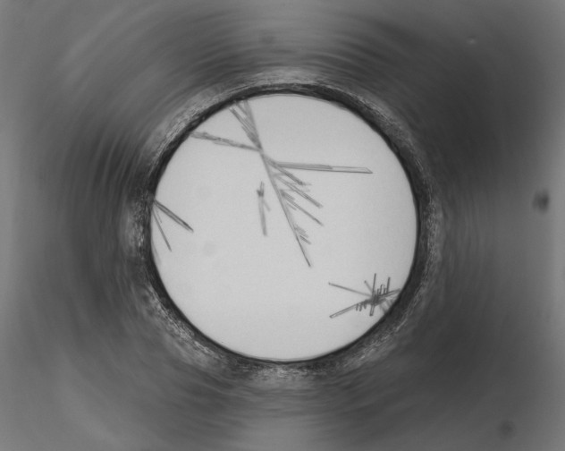 X0000116510929201001061220