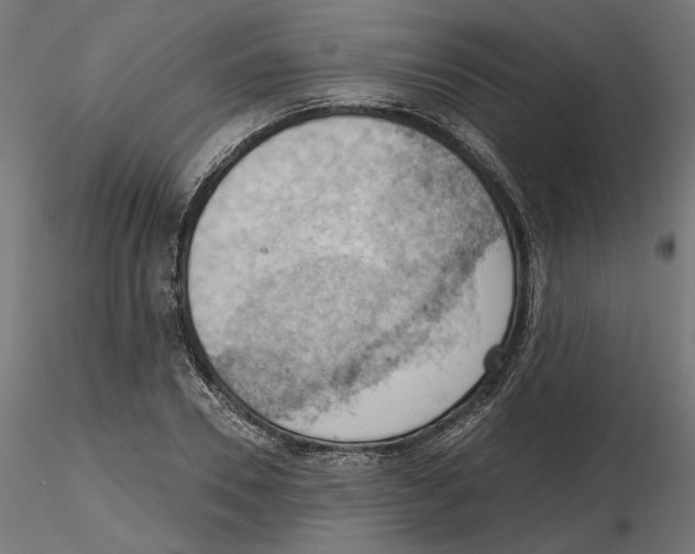 X0000116510930201001061220
