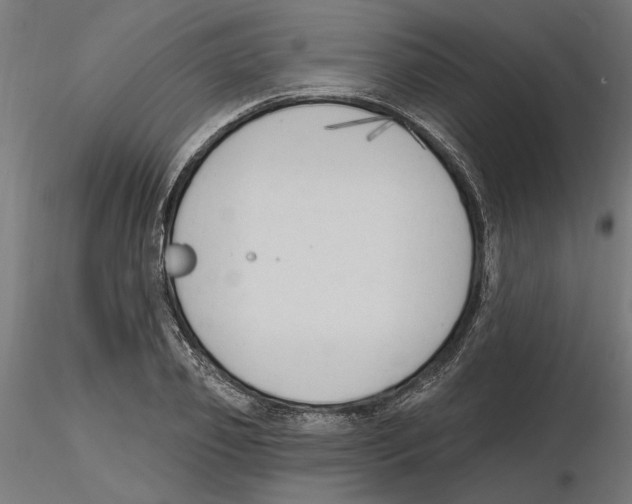 X0000116510933201001061220