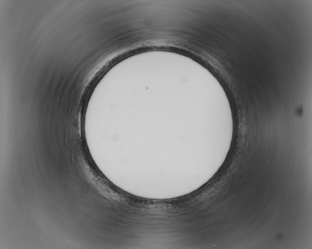 X0000116510934201001061220