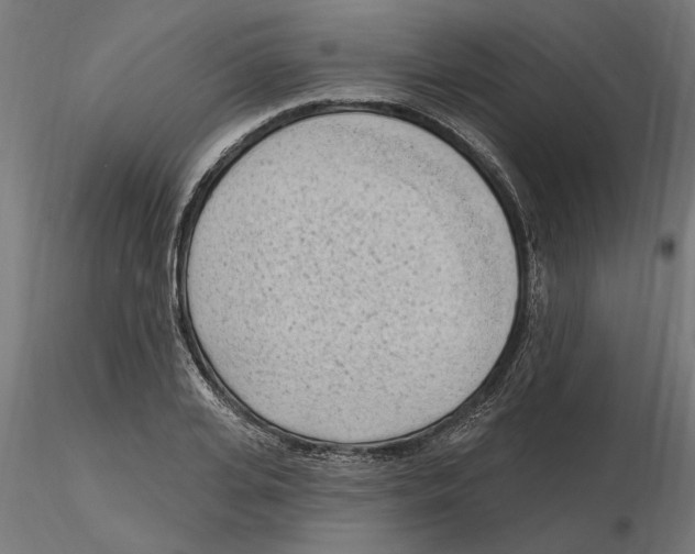 X0000116510935201001061220