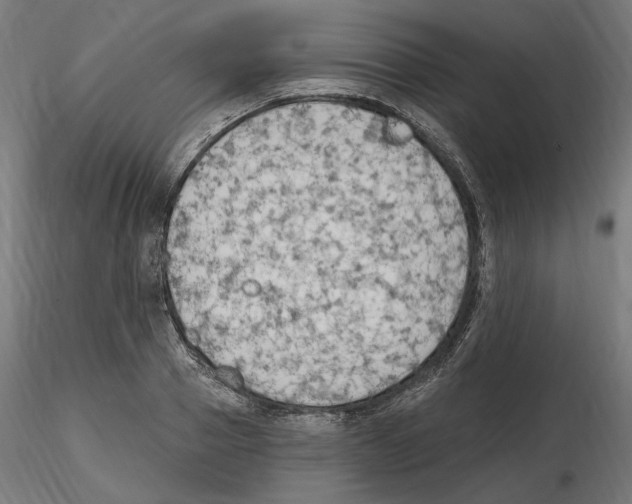 X0000116510937201001061220