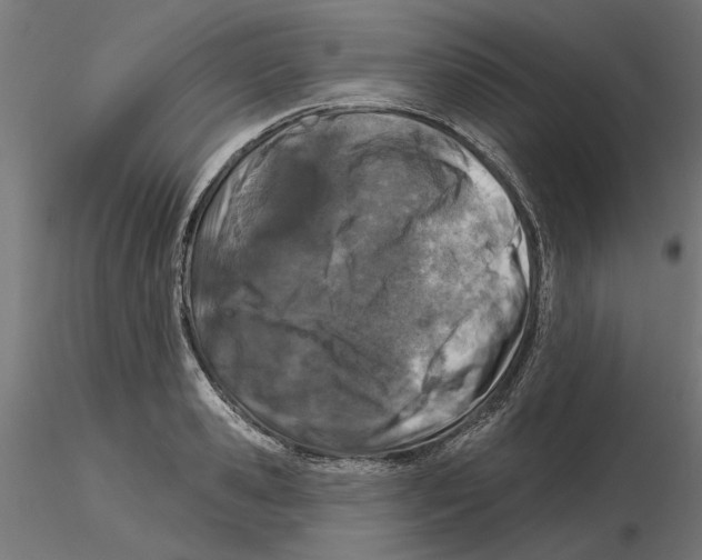 X0000116510941201001061220