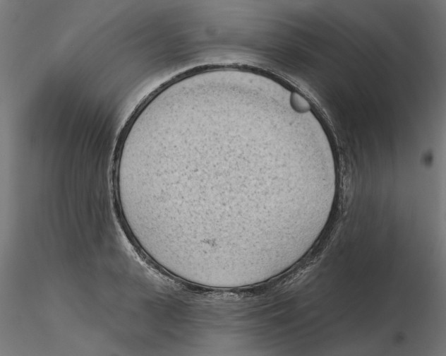 X0000116510943201001061220