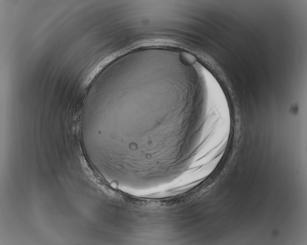 X0000116510945201001061220