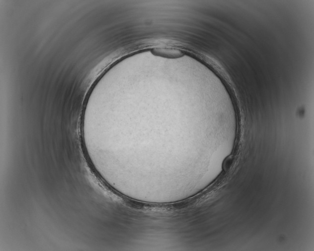 X0000116510946201001061220