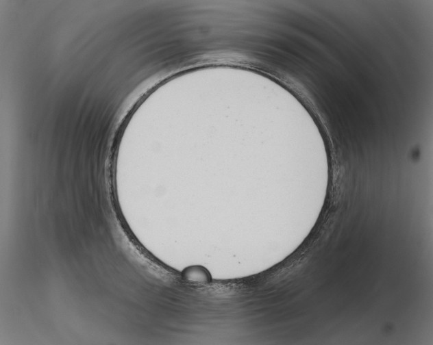 X0000116510947201001061220