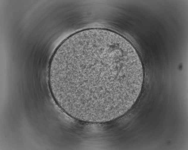 X0000116510950201001061220