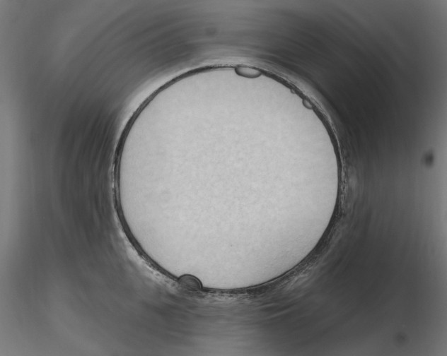 X0000116510951201001061220