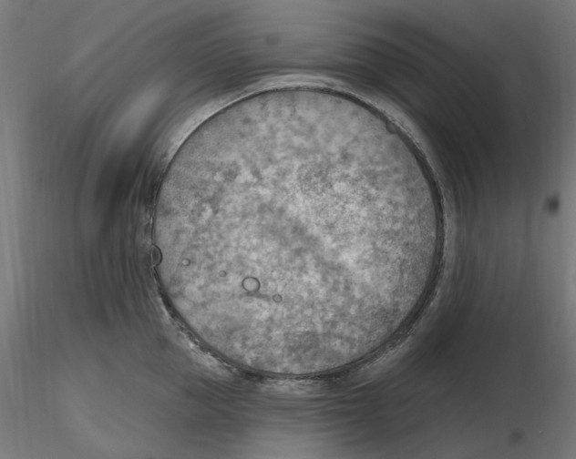 X0000116510953201001061220