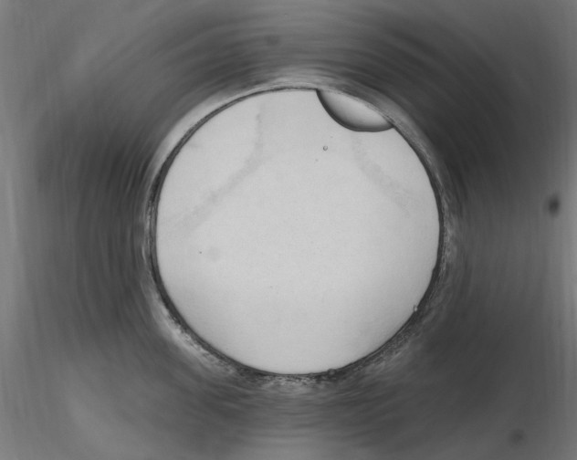 X0000116510955201001061220