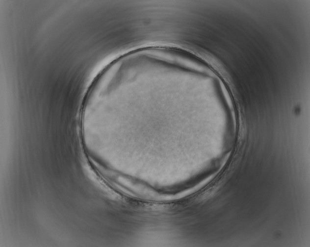 X0000116510958201001061220