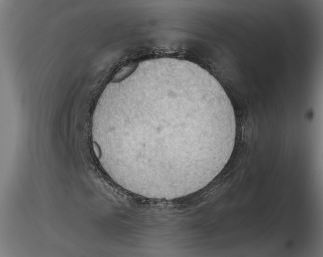 X0000116510961201001061220