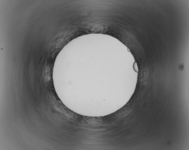 X0000116510962201001061220