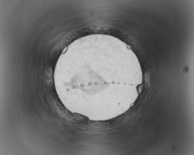 X0000116510963201001061220