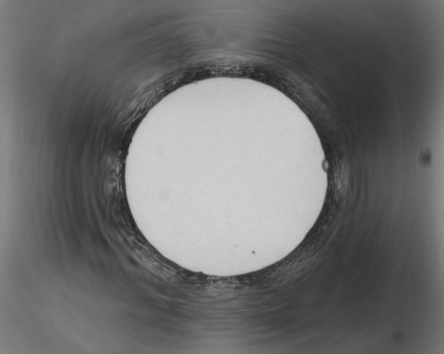 X0000116510964201001061220