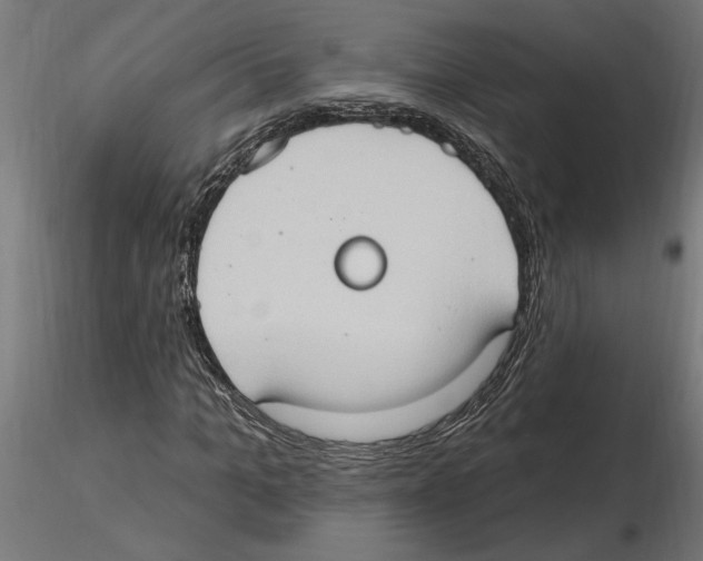 X0000116510965201001061220