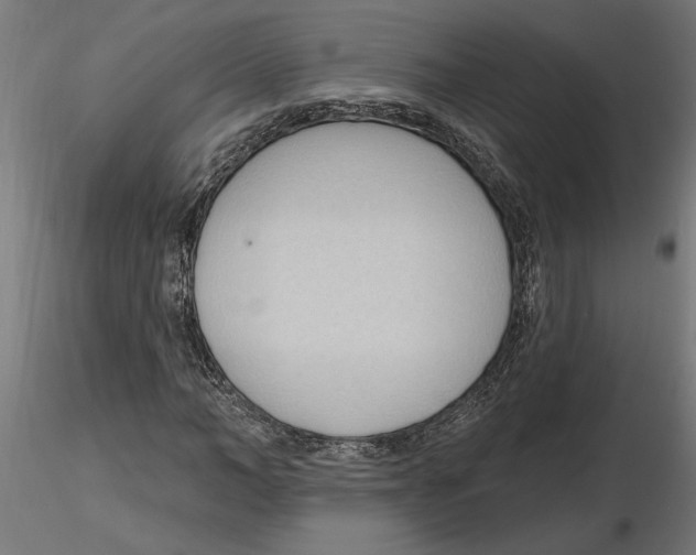 X0000116510966201001061219