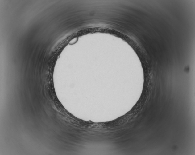 X0000116510967201001061219