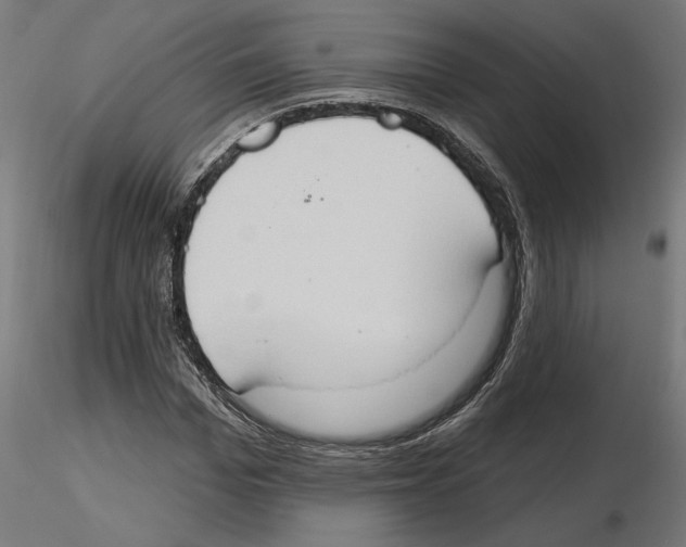 X0000116510969201001061219