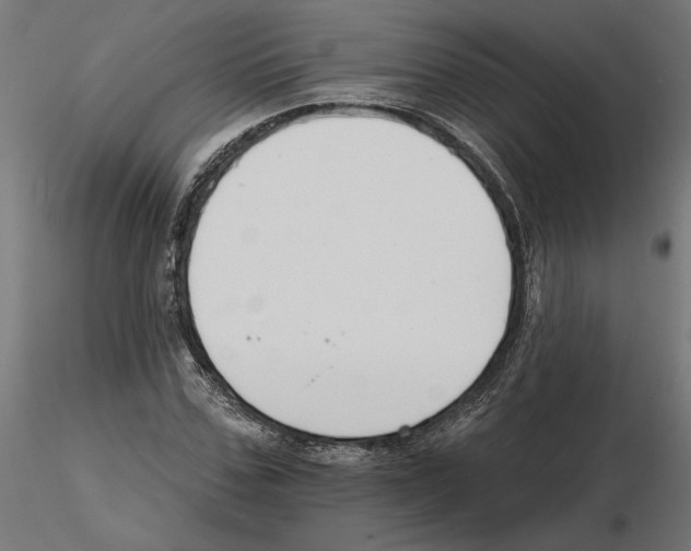 X0000116510971201001061219