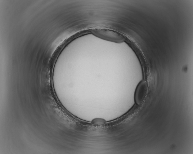X0000116510973201001061219