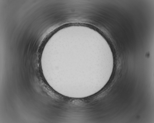 X0000116510974201001061219