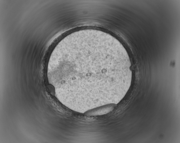 X0000116510975201001061219