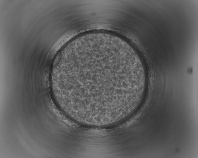 X0000116510977201001061219