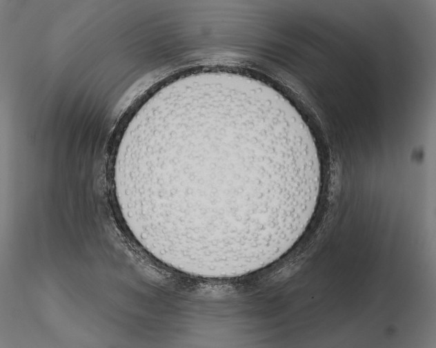 X0000116510978201001061219
