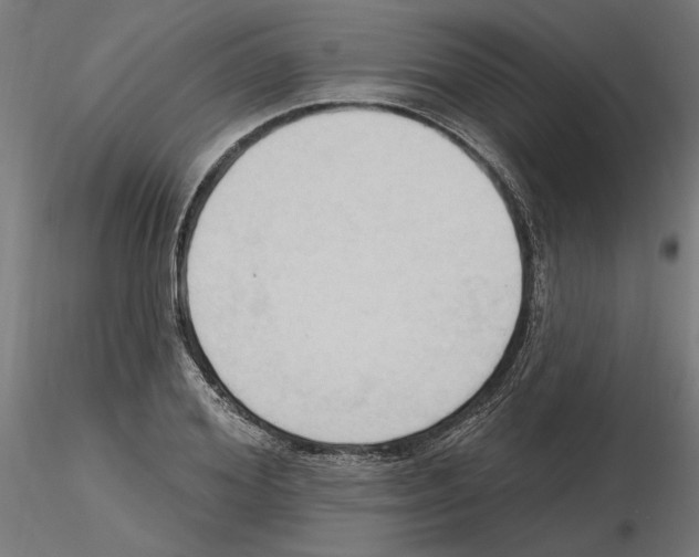 X0000116510980201001061219