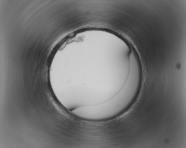 X0000116510981201001061219